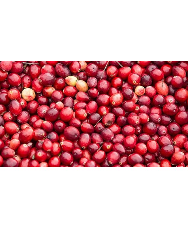 Capella Cranberry