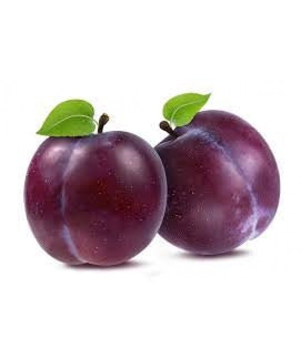 LorAnn - Plum