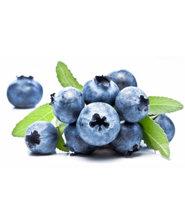 TPA TFA Wild Blueberry
