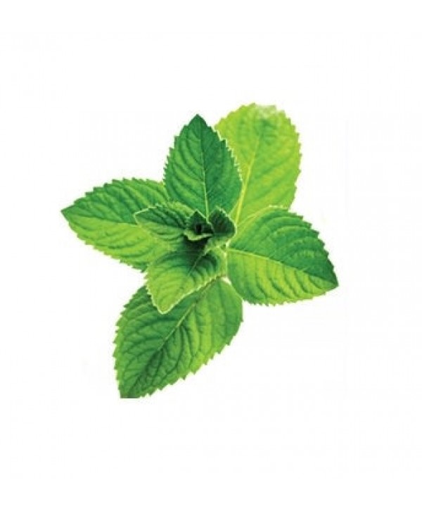 Flavor West Spearmint