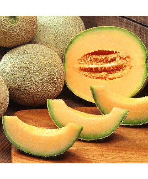 TPA TFA Cantaloupe