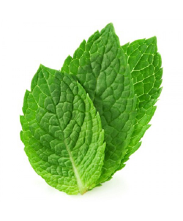 TPA TFA Spearmint