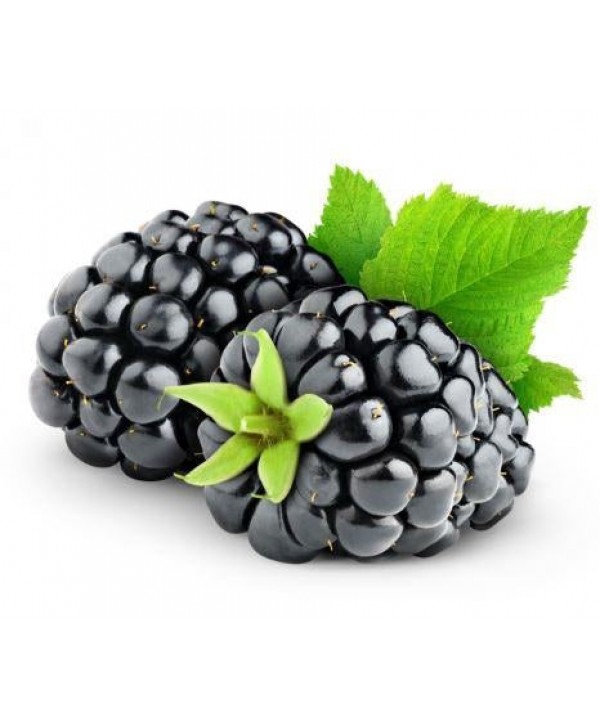 Flavour Art - Blackberry