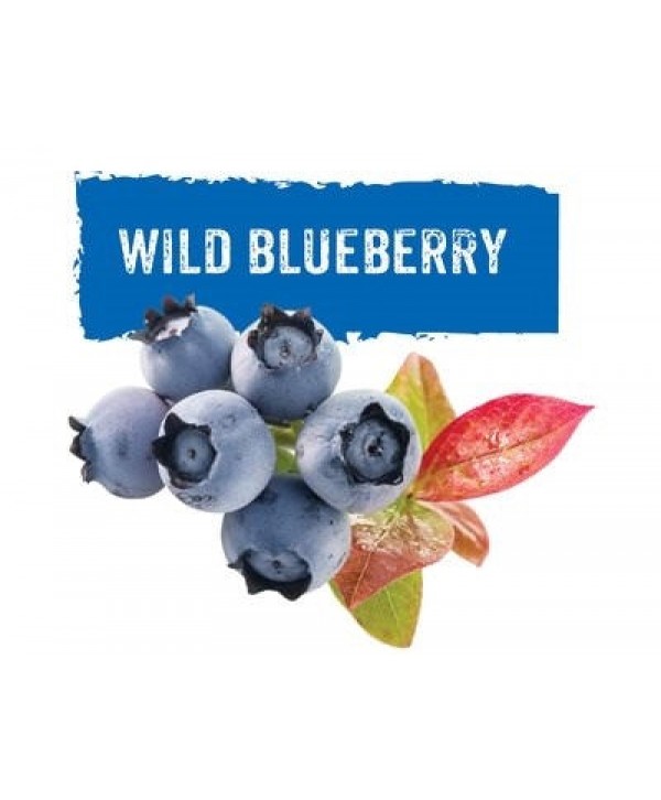 GLF Wild Blueberry
