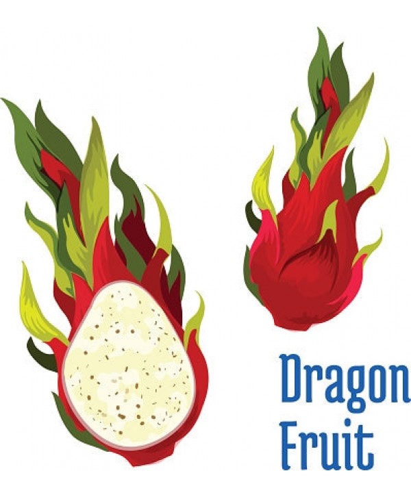 Vapen juice - Dragons Fruit